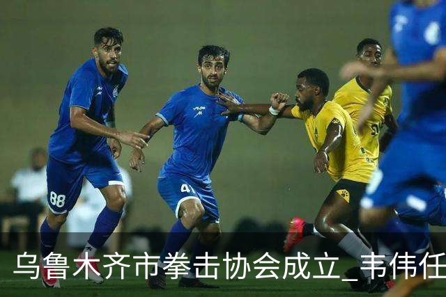 乌鲁木齐市拳击协会成立 韦伟任会长
